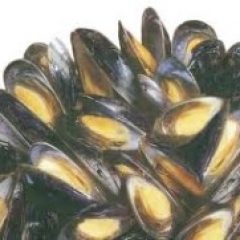 Cooking Mussels